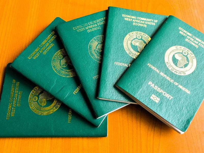 International passport